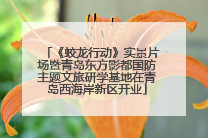 《蛟龙行动》实景片场暨青岛东方影都国防主题文旅研学基地在青岛西海岸新区开业