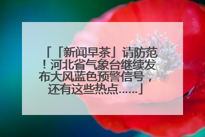 「新闻早茶」请防范！河北省气象台继续发布大风蓝色预警信号，还有这些热点……