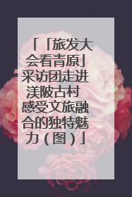 「旅发大会看青原」采访团走进渼陂古村 感受文旅融合的独特魅力（图）