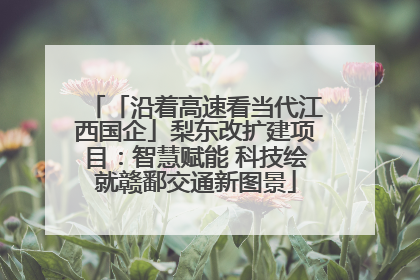 「沿着高速看当代江西国企」梨东改扩建项目：智慧赋能 科技绘就赣鄱交通新图景