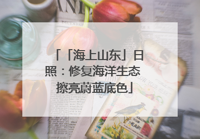 「海上山东」日照：修复海洋生态 擦亮蔚蓝底色