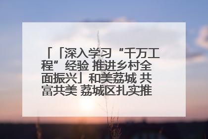 「深入学习“千万工程”经验 推进乡村全面振兴」和美荔城 共富共美 荔城区扎实推进乡村振兴工作