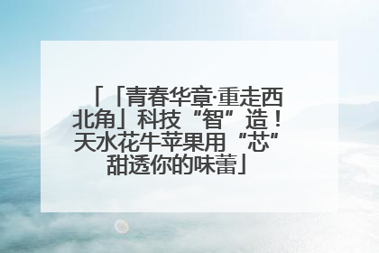 「青春华章·重走西北角」科技“智”造！天水花牛苹果用“芯”甜透你的味蕾