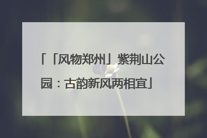 「风物郑州」紫荆山公园：古韵新风两相宜