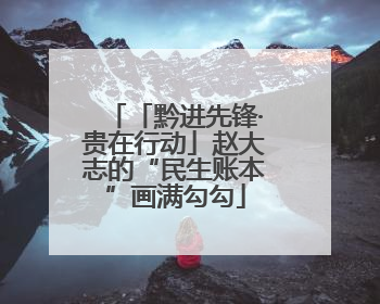 「黔进先锋·贵在行动」赵大志的“民生账本”画满勾勾