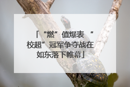 “燃”值爆表 “校超”冠军争夺战在如东落下帷幕