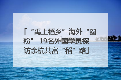 “禹上稻乡”海外“圈粉” 19名外国学员探访余杭共富“稻”路
