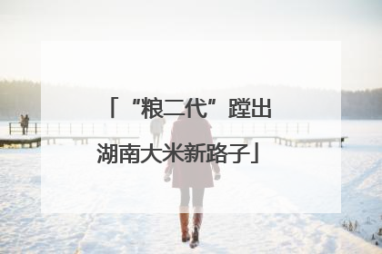“粮二代”蹚出湖南大米新路子
