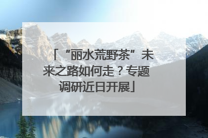 “丽水荒野茶”未来之路如何走？专题调研近日开展