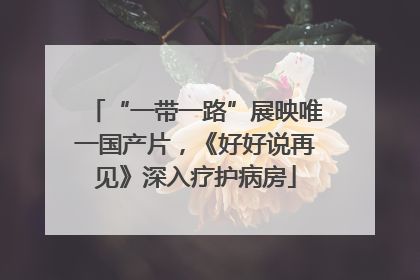 “一带一路”展映唯一国产片，《好好说再见》深入疗护病房