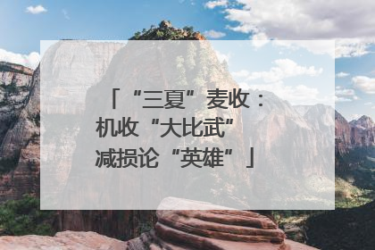 “三夏”麦收：机收“大比武” 减损论“英雄”
