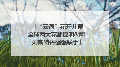 “云荷”花开并蒂 全球两大花都昆明&阿姆斯特丹强强联手