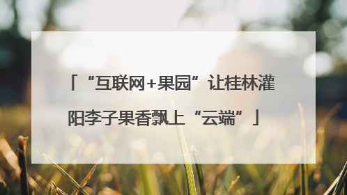 “互联网+果园”让桂林灌阳李子果香飘上“云端”