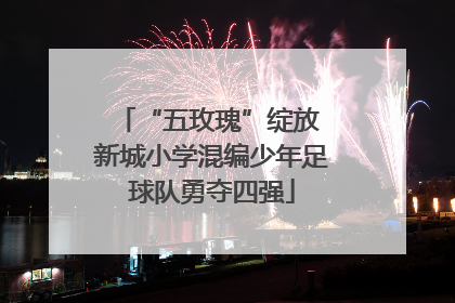 “五玫瑰”绽放 新城小学混编少年足球队勇夺四强
