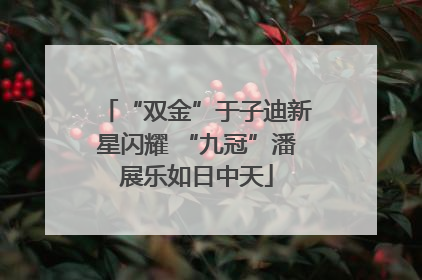 “双金”于子迪新星闪耀 “九冠”潘展乐如日中天