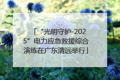 “光明守护-2025”电力应急救援综合演练在广东清远举行