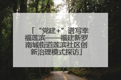 “党建+”谱写幸福莲滨——福建新罗南城街道莲滨社区创新治理模式探访