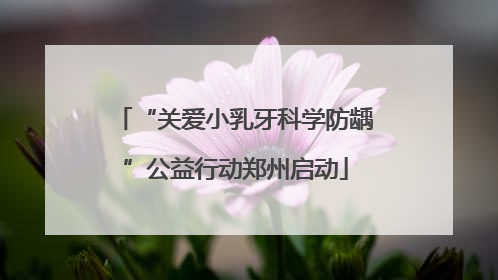 “关爱小乳牙科学防龋”公益行动郑州启动