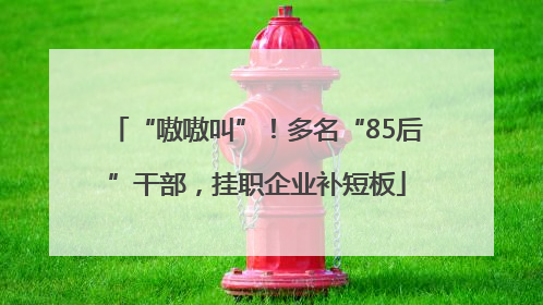 “嗷嗷叫”！多名“85后”干部，挂职企业补短板