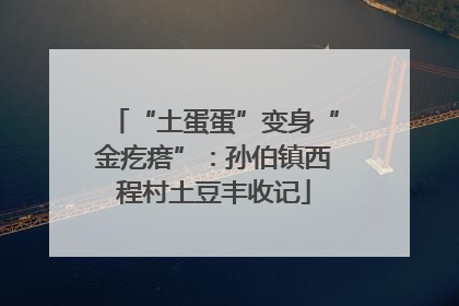 “土蛋蛋”变身“金疙瘩”：孙伯镇西程村土豆丰收记