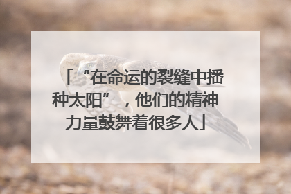 “在命运的裂缝中播种太阳”，他们的精神力量鼓舞着很多人