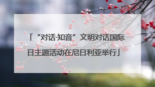 “对话·知音”文明对话国际日主题活动在尼日利亚举行