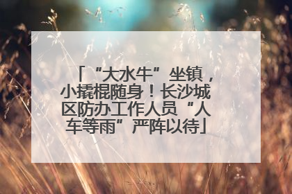 “大水牛”坐镇，小撬棍随身！长沙城区防办工作人员“人车等雨”严阵以待