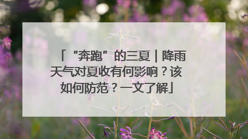 “奔跑”的三夏｜降雨天气对夏收有何影响？该如何防范？一文了解