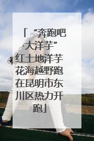 “奔跑吧·大洋芋”红土地洋芋花海越野跑在昆明市东川区热力开跑