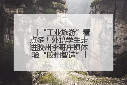 “工业旅游”看点多！外籍学生走进胶州李哥庄镇体验“胶州智造”