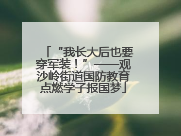 “我长大后也要穿军装！”——观沙岭街道国防教育点燃学子报国梦
