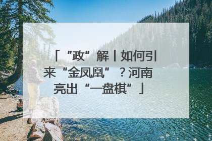 “政”解丨如何引来“金凤凰”？河南亮出“一盘棋”