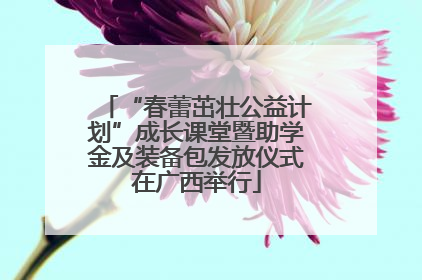 “春蕾茁壮公益计划”成长课堂暨助学金及装备包发放仪式在广西举行