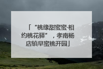 “桃缘甜蜜蜜·相约桃花驿”，孝南杨店镇早蜜桃开园