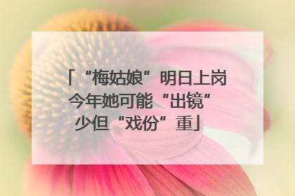 “梅姑娘”明日上岗 今年她可能“出镜”少但“戏份”重