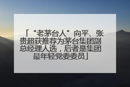 “老茅台人”向平、张贵超获推荐为茅台集团副总经理人选，后者是集团最年轻党委委员