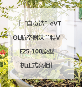 “自贡造”eVTOL航空器沃兰特VE25-100原型机正式亮相