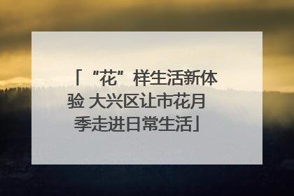 “花”样生活新体验 大兴区让市花月季走进日常生活