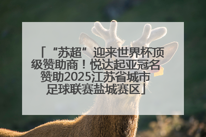 “苏超”迎来世界杯顶级赞助商！悦达起亚冠名赞助2025江苏省城市足球联赛盐城赛区