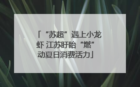 “苏超”遇上小龙虾 江苏盱眙“燃”动夏日消费活力