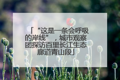 “这是一条会呼吸的岸线”，城市观察团探访百里长江生态廊道青山段