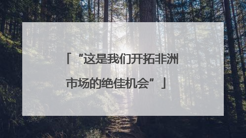 “这是我们开拓非洲市场的绝佳机会”