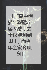 “鸟中熊猫”彩鹮定居孝感，去年仅观测到1只，而今年全家齐现身