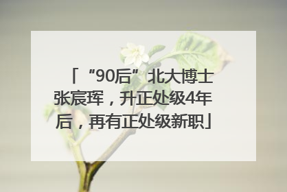 “90后”北大博士张宸珲，升正处级4年后，再有正处级新职