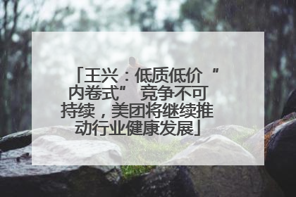 王兴：低质低价“内卷式” 竞争不可持续，美团将继续推动行业健康发展