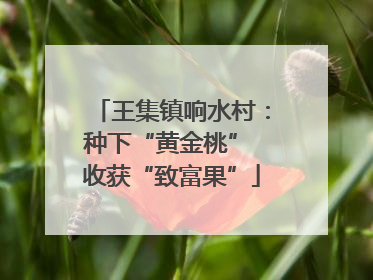 王集镇响水村：种下“黄金桃” 收获“致富果”