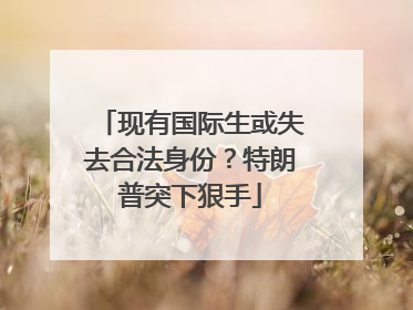 现有国际生或失去合法身份？特朗普突下狠手