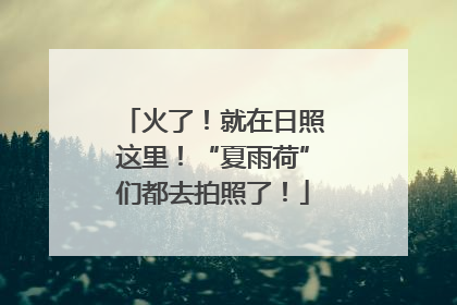 火了！就在日照这里！“夏雨荷”们都去拍照了！
