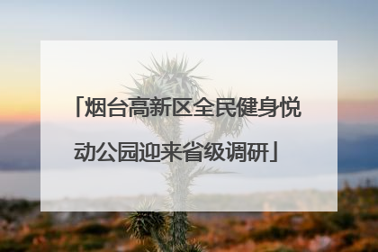 烟台高新区全民健身悦动公园迎来省级调研