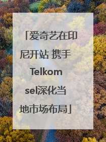 爱奇艺在印尼开站 携手Telkomsel深化当地市场布局